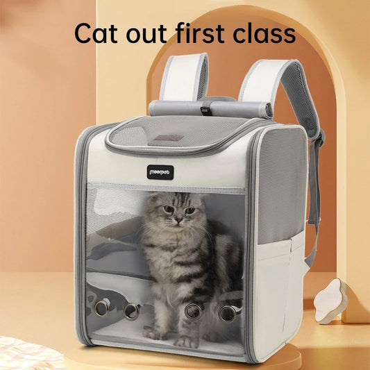 Breathable Mesh Pet Carrier Backpack – Transparent Window Foldable Travel Bag for Cats & Dogs
